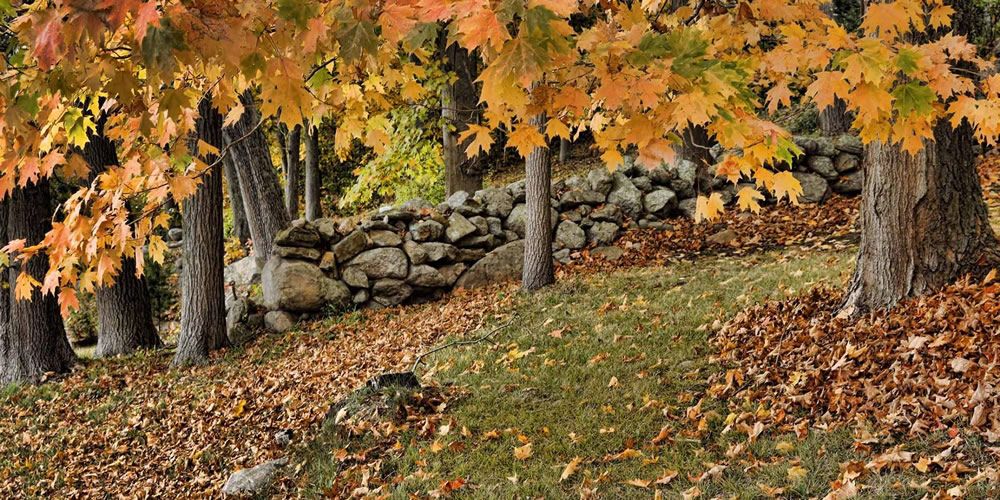 Fall